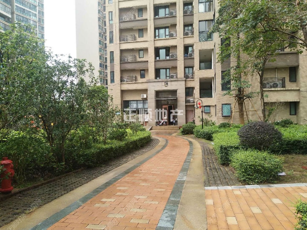 小区绿化走道