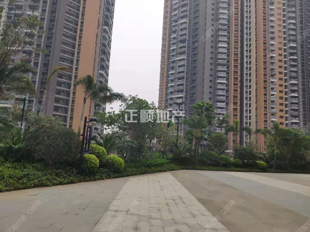 实景图