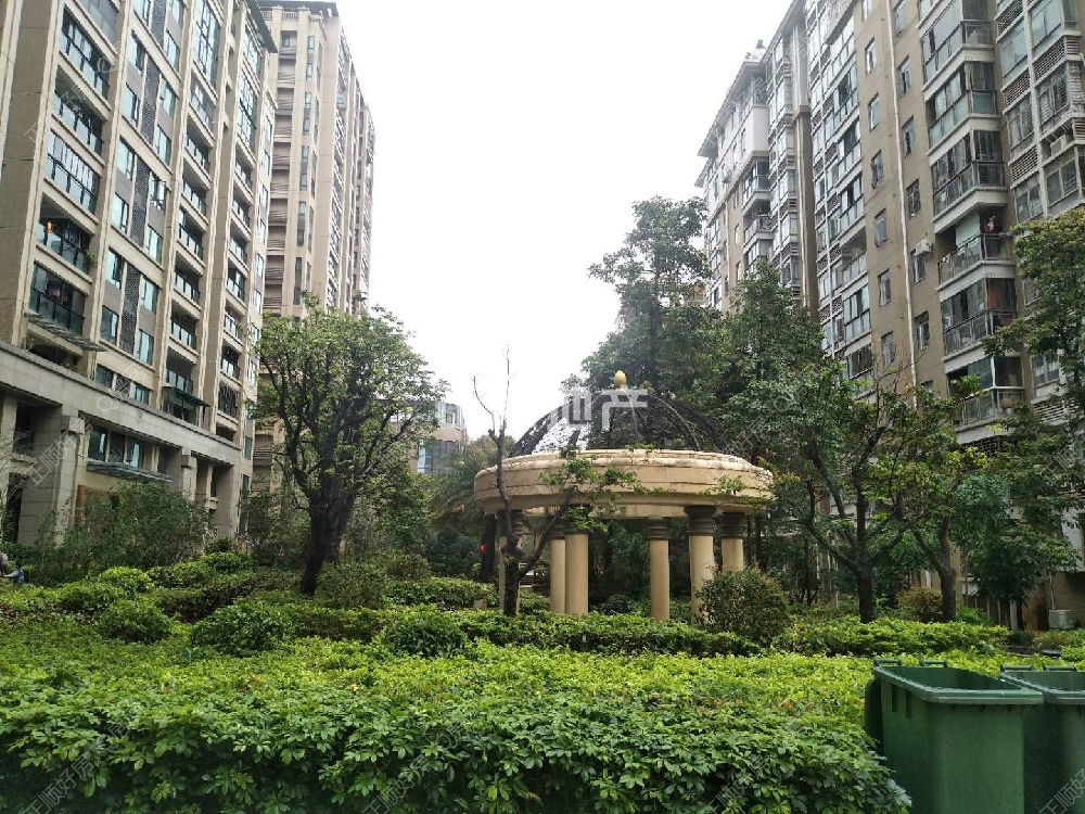 小区绿化