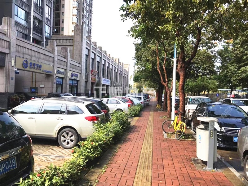北门停车位