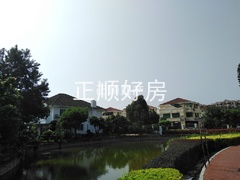 993405367.jpg
