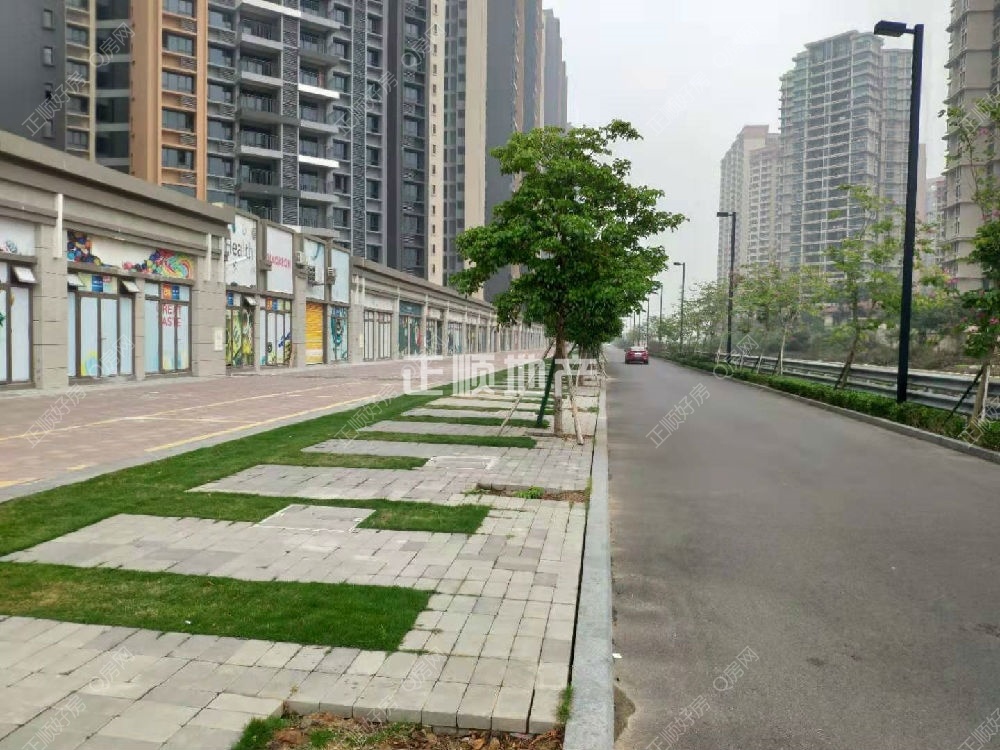 实景图
