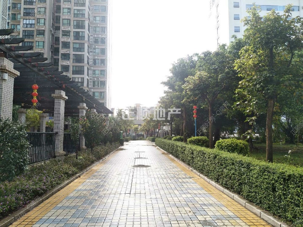北门小区人行道