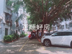 571072603.jpg