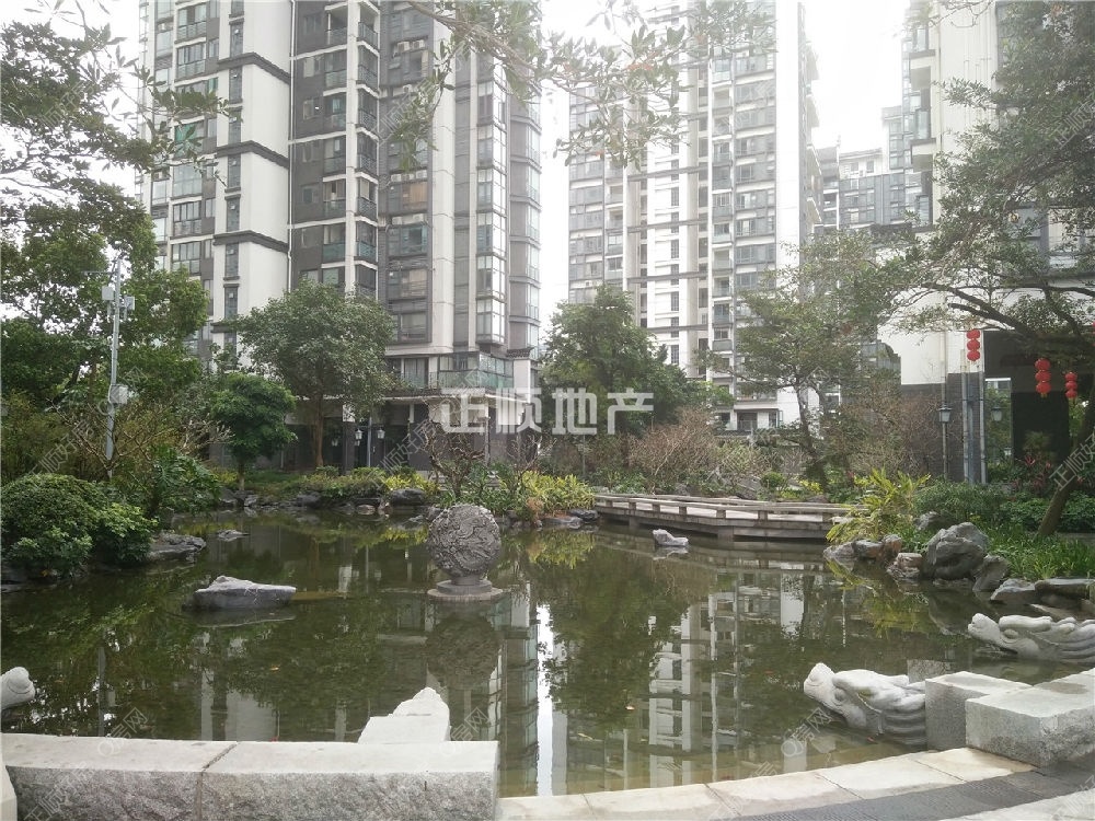 小区园景