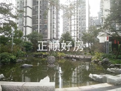 小区园景