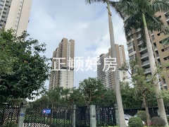 小区东面