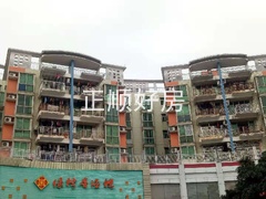 绿榕1.jpg