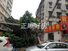 康宁路1.jpg