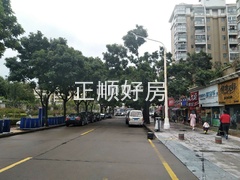 春晖路景观