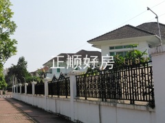 919875506.jpg