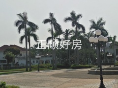 393554104.jpg