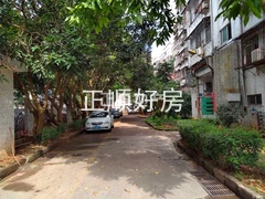 一栋