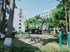 小区园林6.jpg