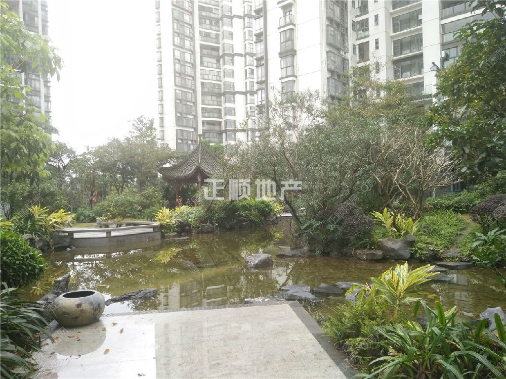 小区园景