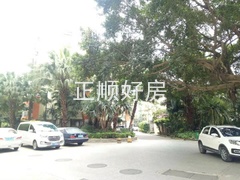绿榕2.jpg