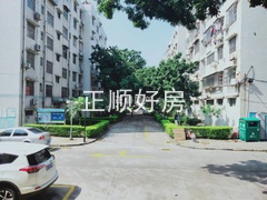 小区园林4.jpg