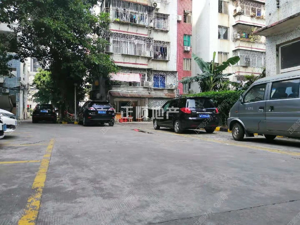 小区里