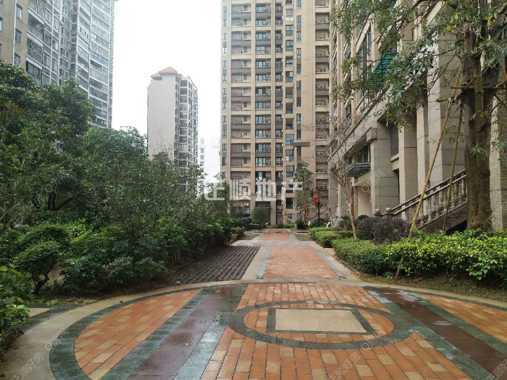小区绿化走道