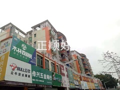 绿榕5.jpg
