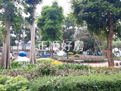 中心里5.jpg