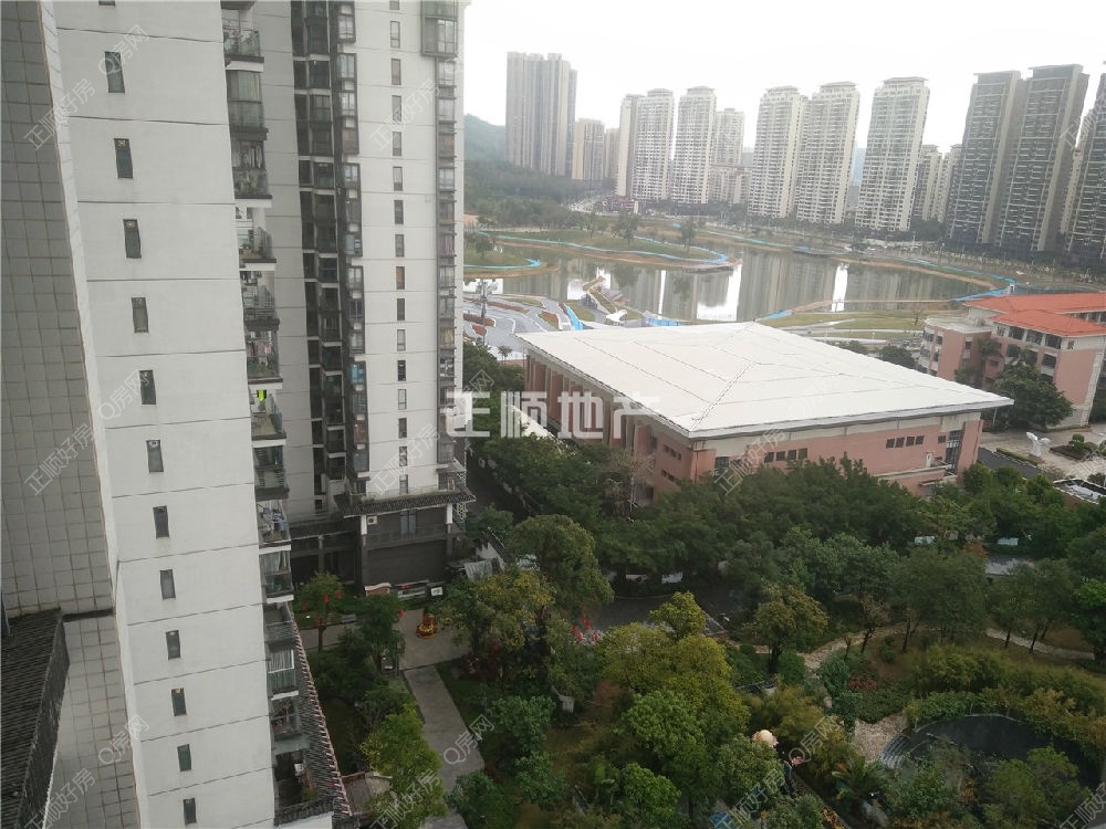风景