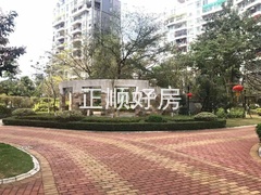 小区绿化