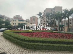 250724960.jpg