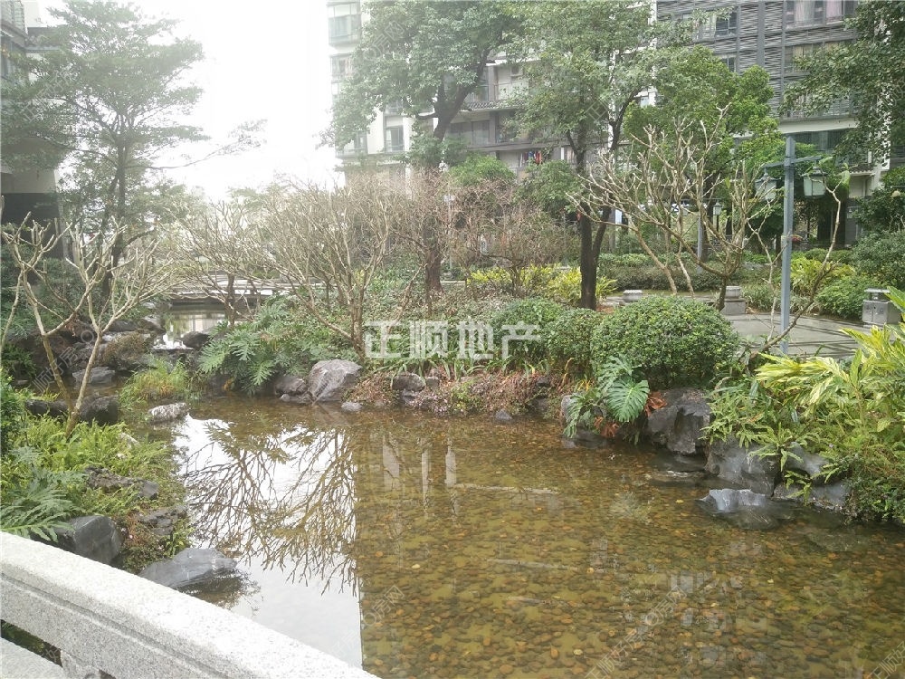 小区园景