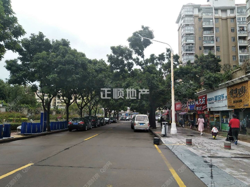 大门春晖路景观