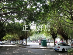 微信图片_20190222210406.jpg