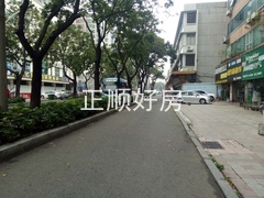 217698810.jpg
