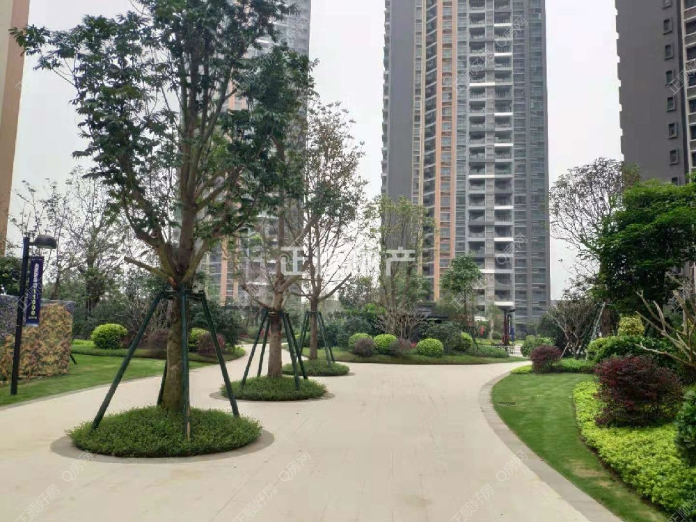 实景图