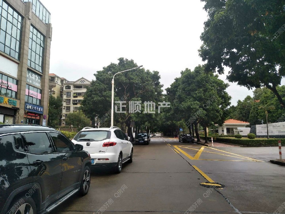 大门春晖路景观