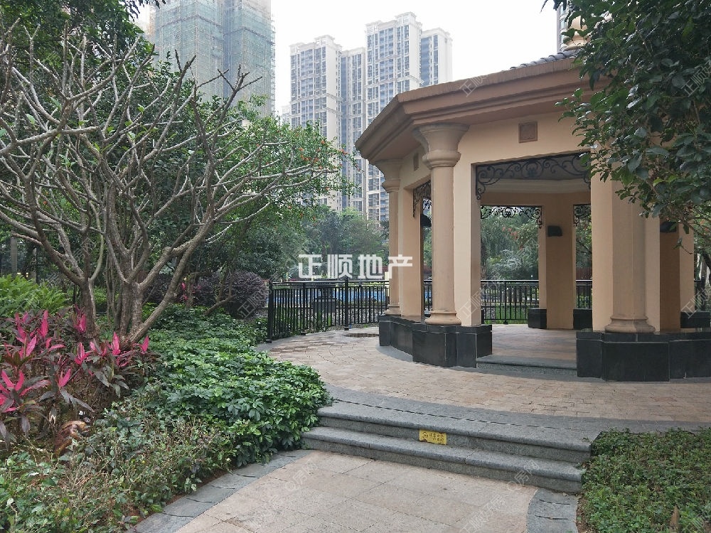 实景图