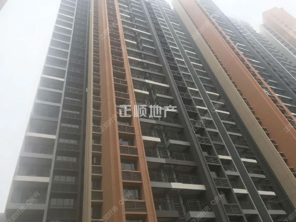 实景图