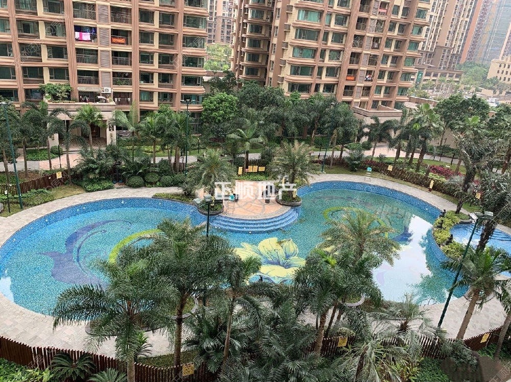 实景图