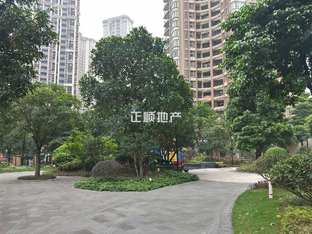 实景图