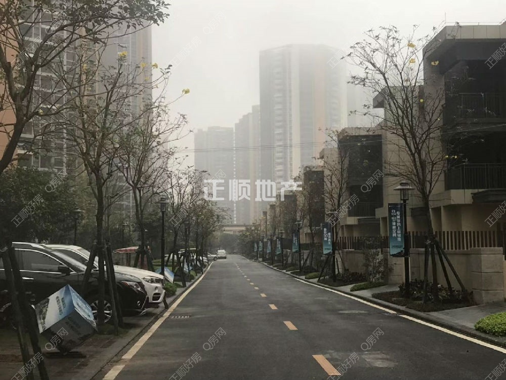 实景图