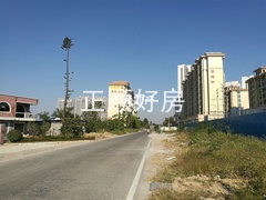 IMG_20171220_153125.jpg