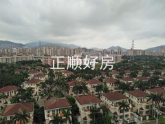 493331894.jpg