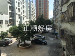 2345_image_file_copy_1.jpg