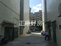 2345_image_file_copy_5.jpg