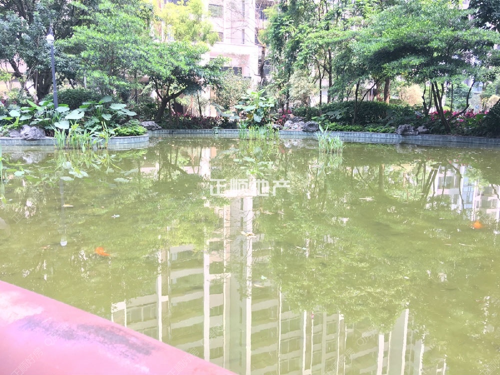 实景图