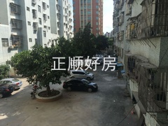 2345_image_file_copy_4.jpg