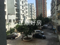 2345_image_file_copy_2.jpg