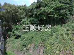 33333b73a33740b38d6f3854b382a17.jpg