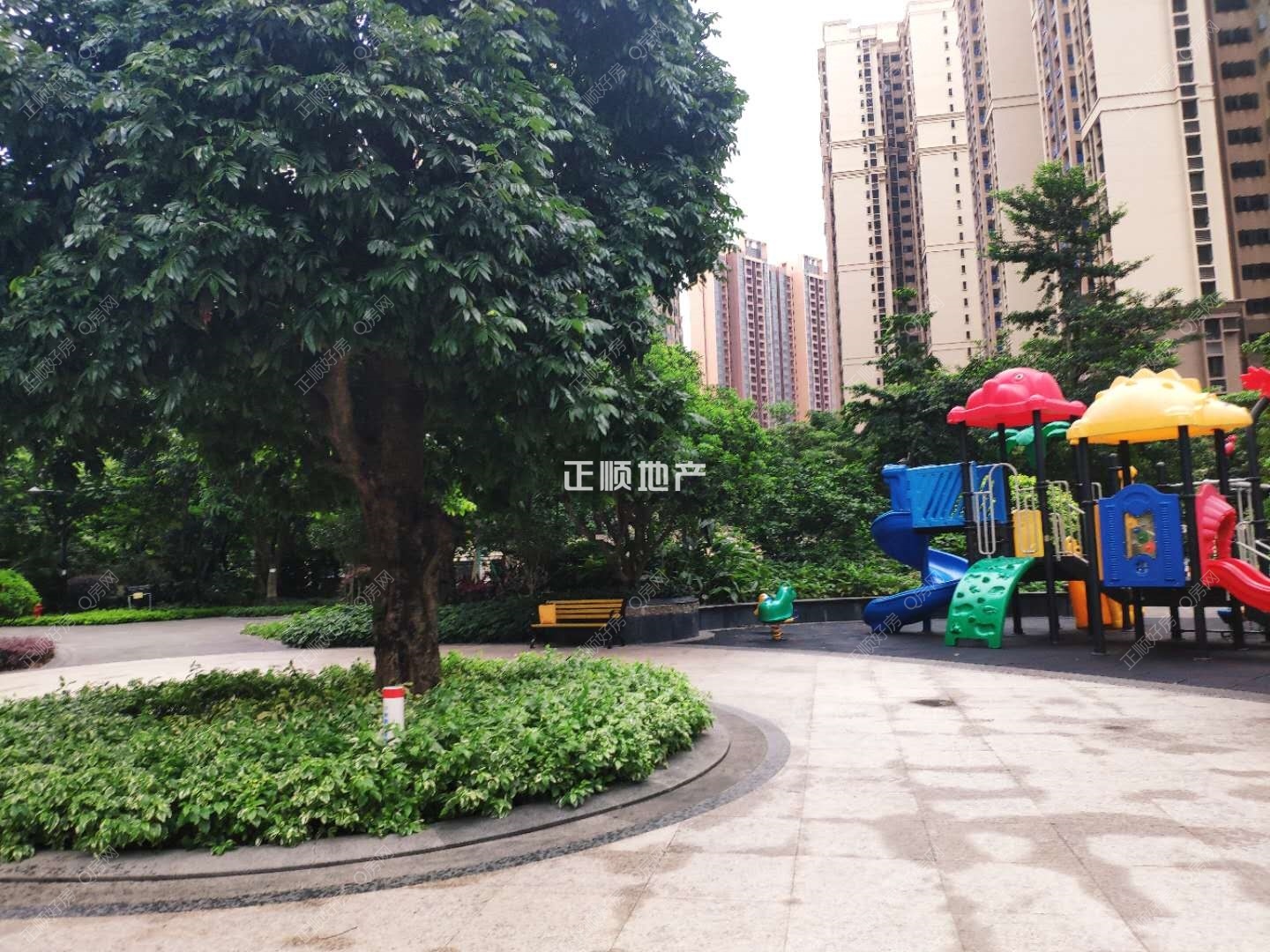 实景图