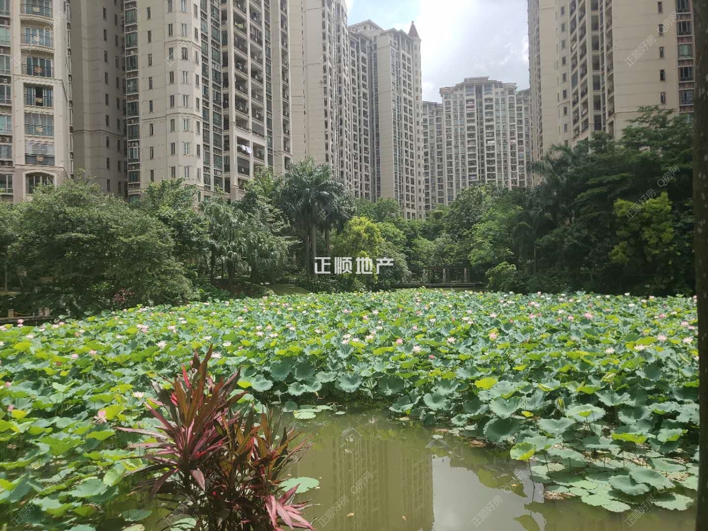 实景图