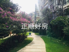 微信图片_201906301653376.jpg